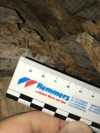 Immobilienbewertung Sanierung Holzfäulnis Dachstuhl